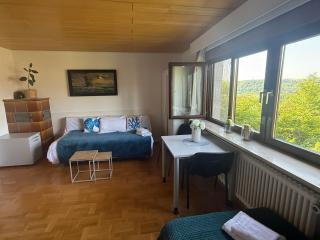 Emi's Guesthouse A2 - Waldshut-Tiengen - 9