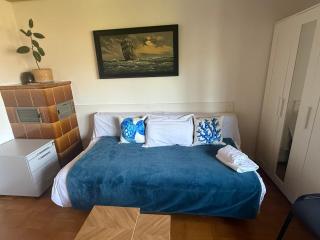 Emi's Guesthouse A2 - Waldshut-Tiengen - 6