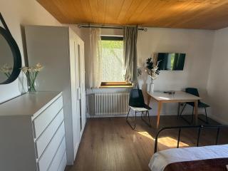 Emi's Guesthouse A2 - Waldshut-Tiengen - 1