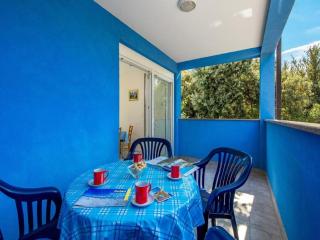 Seaside Apartment in Mandre with Barbecue - Mandre - 5