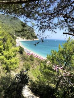 La casa di pietra sul Conero - 3