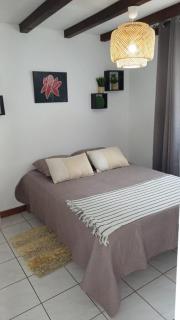 Location Alpinia - Saint-Paul - 7