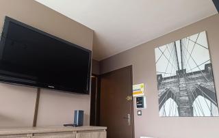 Le Moderne - Saint-Julien-en-Genevois - 4