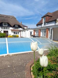 Beautiful Thatched Cottage with Outdoor Pool, Secure Garden, Dog & Family Friendly! Chichester Holiday Properties - 0