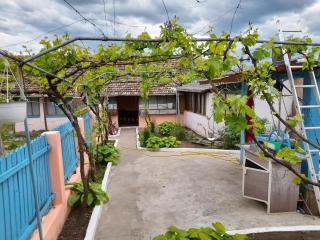 Casa Danubius - Crivina - 7