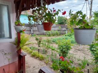 Casa Danubius - Crivina - 5