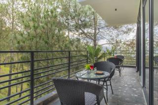 THE BLUE BERRY BY HiLL CREST I 2BHK APARTMENTS I AC I ROOF TOP MODERN CAFE I - Kasauli - 5