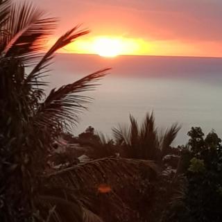 Location Alpinia - Saint-Paul - 1