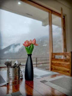 Keylong Heights Guest House - Kyelang - 8