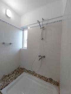 Ibis eremita - Cadice - 9