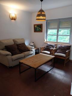 Ibis eremita - Cadice - 1