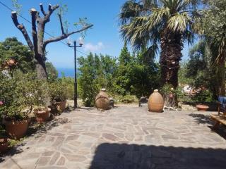 Panoramic Garden view - Mesochórion - 7