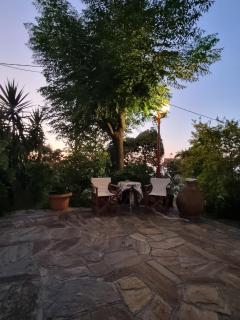 Panoramic Garden view - Mesochórion - 6