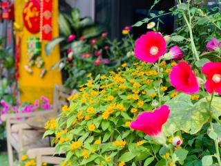 May's House Hoi An - Hội An - 4