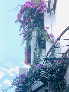 May's House Hoi An - 7