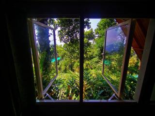 Munnar Home Stay,Tea Drops Plantation Villa - Anachal - 7