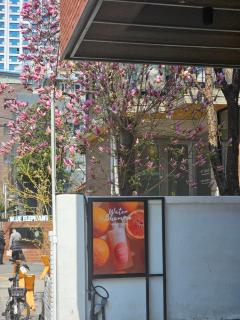 Stay The Arts - Seoul Forest View - Seul - 9