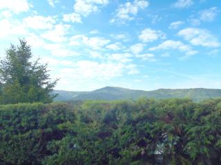 Appartement indépendent dans villa au cœur du Var - Gonfaron - 7