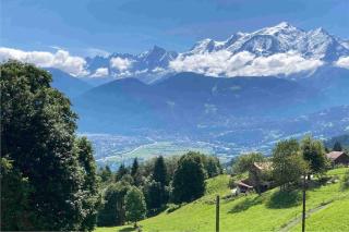 Le By - Cordon - 2