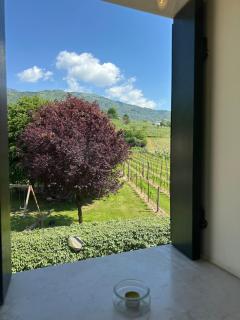 Casa Vacanze Ricca Vigna - Valdobbiadene - 6