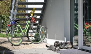 EntdeckerFERIEN am Bodensee - Friedrichshafen - 1