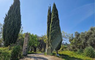 Gorgeous Home In Camporosso - Camporosso - 4