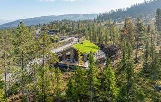 Gorgeous Home In Nesbyen With Wifi - Nesbyen - 0