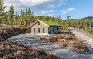 Gorgeous Home In Nesbyen With Wifi - Nesbyen - 3