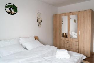 Shyla Garden Apartaments - Braşov - 7
