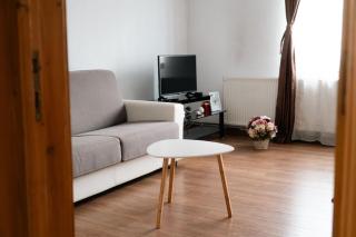 Shyla Garden Apartaments - Braşov - 3