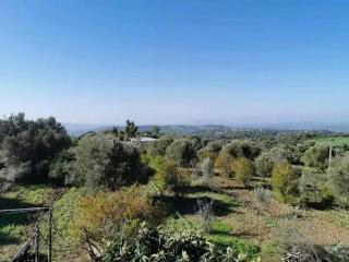 Camping Panorama 900 - Oulad Akkou - 6