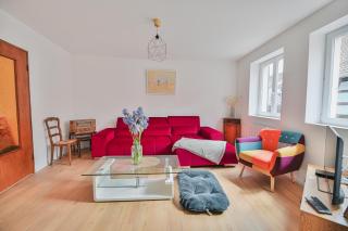 APPARTEMENT ELSA - Au Calme des Vignes - Parking privatif & Animaux Bienvenus - Dambach-la-Ville - 0