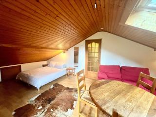 Centrally Located Studio in Morzine Centre - Morzine - 9