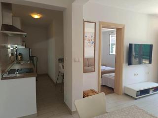 Apartment IB Studio Tkon, Pašman - Tkon - 0