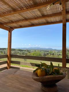 Agriturismo Glamping L'Olivo Country Holidays - Campiglia Marittima - 0