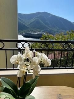 Tale Sea View Apartment - Kotor (Cattaro) - 7