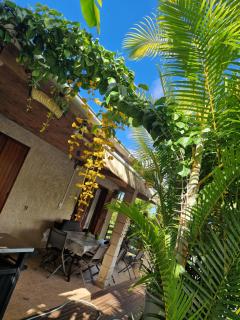 Sous les palmiers - 9