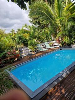 Sous les palmiers - Maison Henou - 8