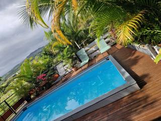 Sous les palmiers - Maison Henou - 3