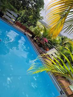 Sous les palmiers - Maison Henou - 7