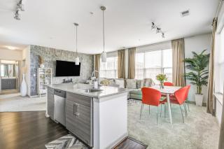 Luxury Downtown Crown Apartment - Gaithersburg - 4