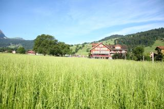 Landgasthof Grossteil - Giswil - 9