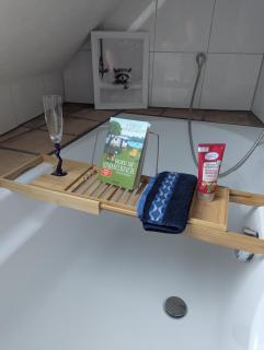 Ferienwohnung Rheinwald - 2