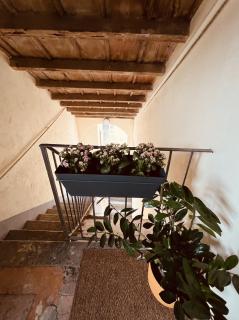 The Green Door - Milan - 4