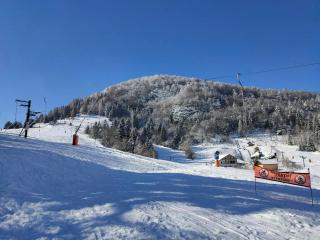 Gîte de La Hutte à 2 km des pistes de ski - Bussang - 9