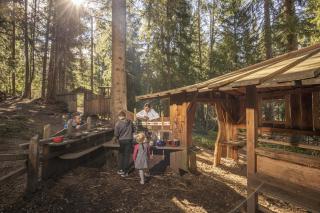 Hochmuthhof - Reith im Alpbachtal - 8
