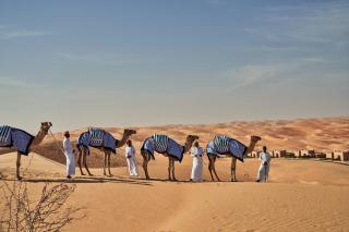 Bab Al Nojoum Bateen Liwa - Liwa - 4