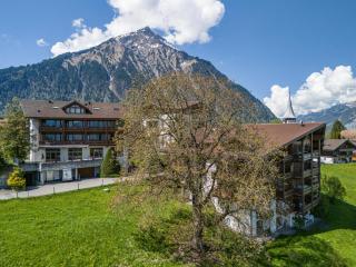 Hotel Aeschipark - Aeschi - 1
