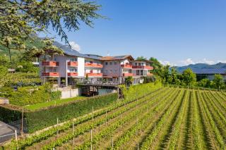 B&B Garni Erika - Tramin an der Weinstraße - 6