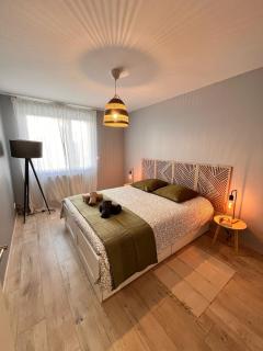 Charming apartment Sablon - Metz - 8